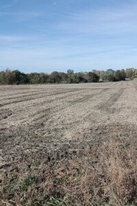Земельна ділянка сільськогосподарського призначення в Медмежому Вушку, площа 10 соток фото 2