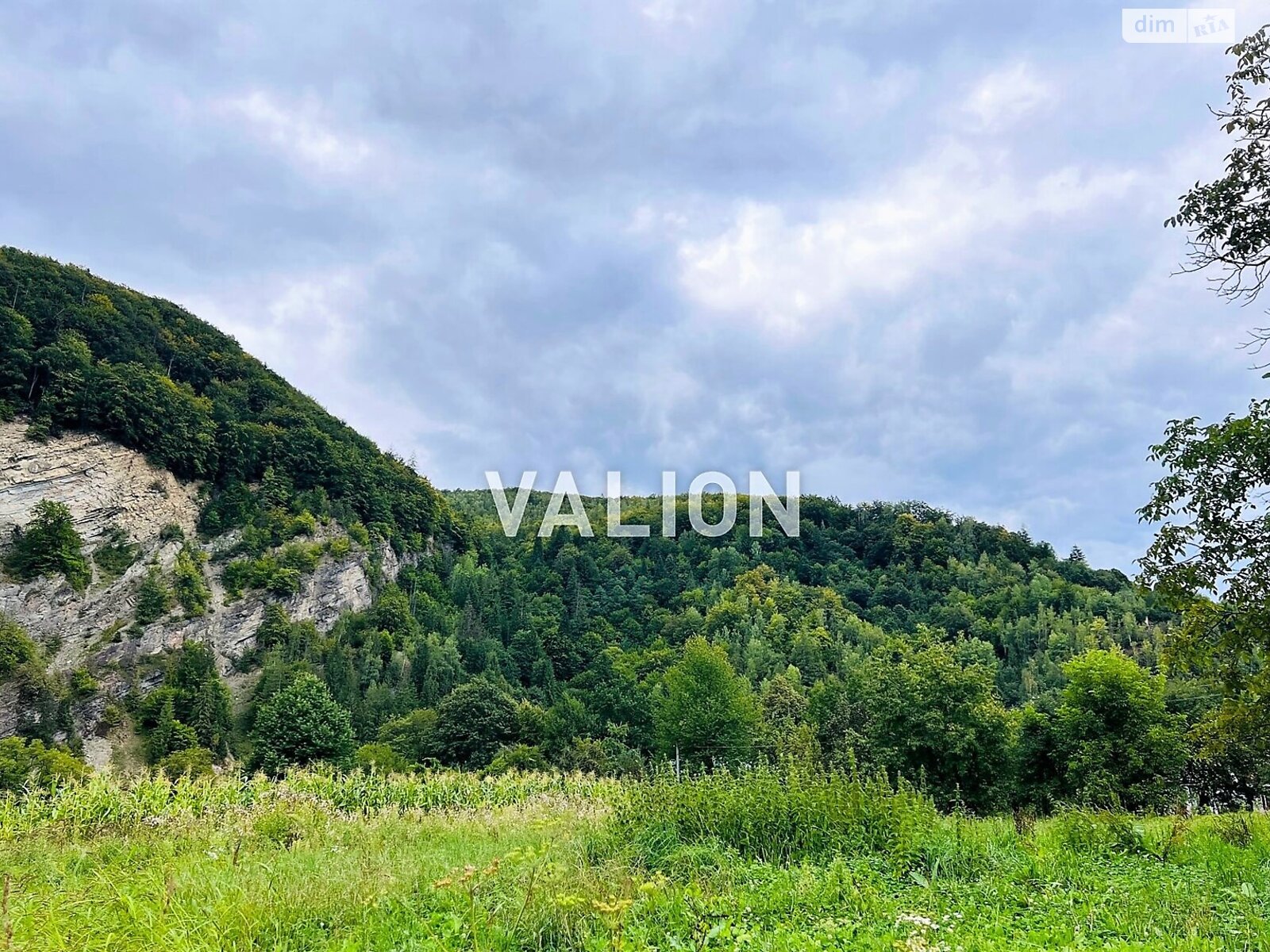 Земельна ділянка сільськогосподарського призначення в Міжброди, площа 20 соток фото 1 Земельна ділянка сільськогосподарського призначення в Міжброди, площа 20 соток фото 1