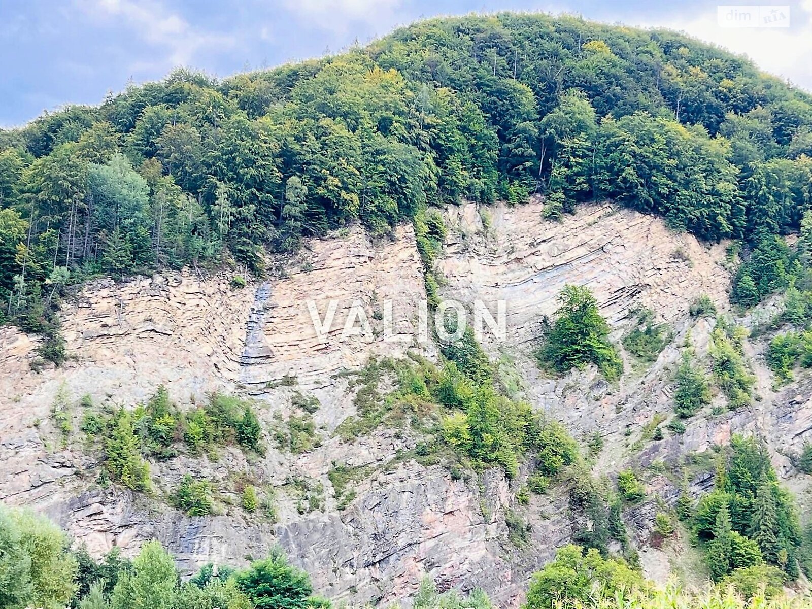 Земельна ділянка сільськогосподарського призначення в Міжброди, площа 20 соток фото 1 Земельна ділянка сільськогосподарського призначення в Міжброди, площа 20 соток фото 1