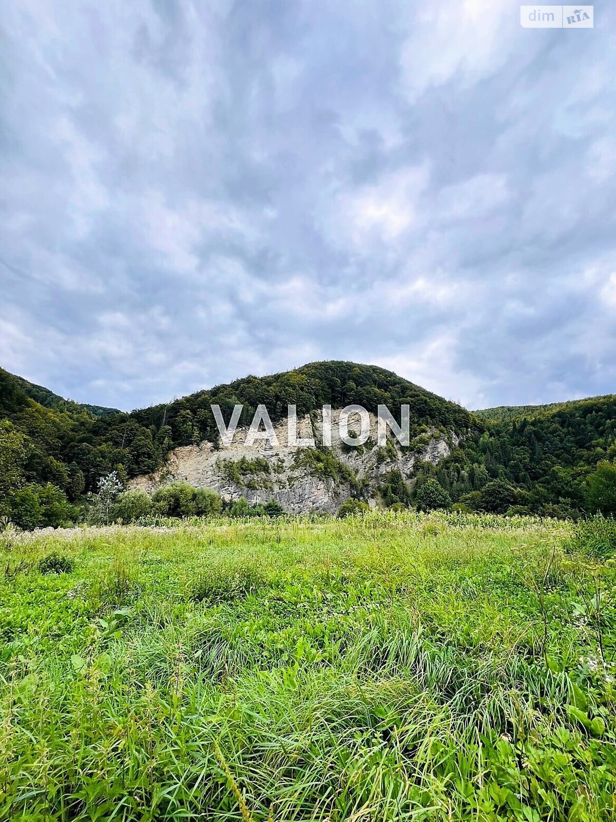 Земельна ділянка сільськогосподарського призначення в Міжброди, площа 20 соток фото 1 Земельна ділянка сільськогосподарського призначення в Міжброди, площа 20 соток фото 1