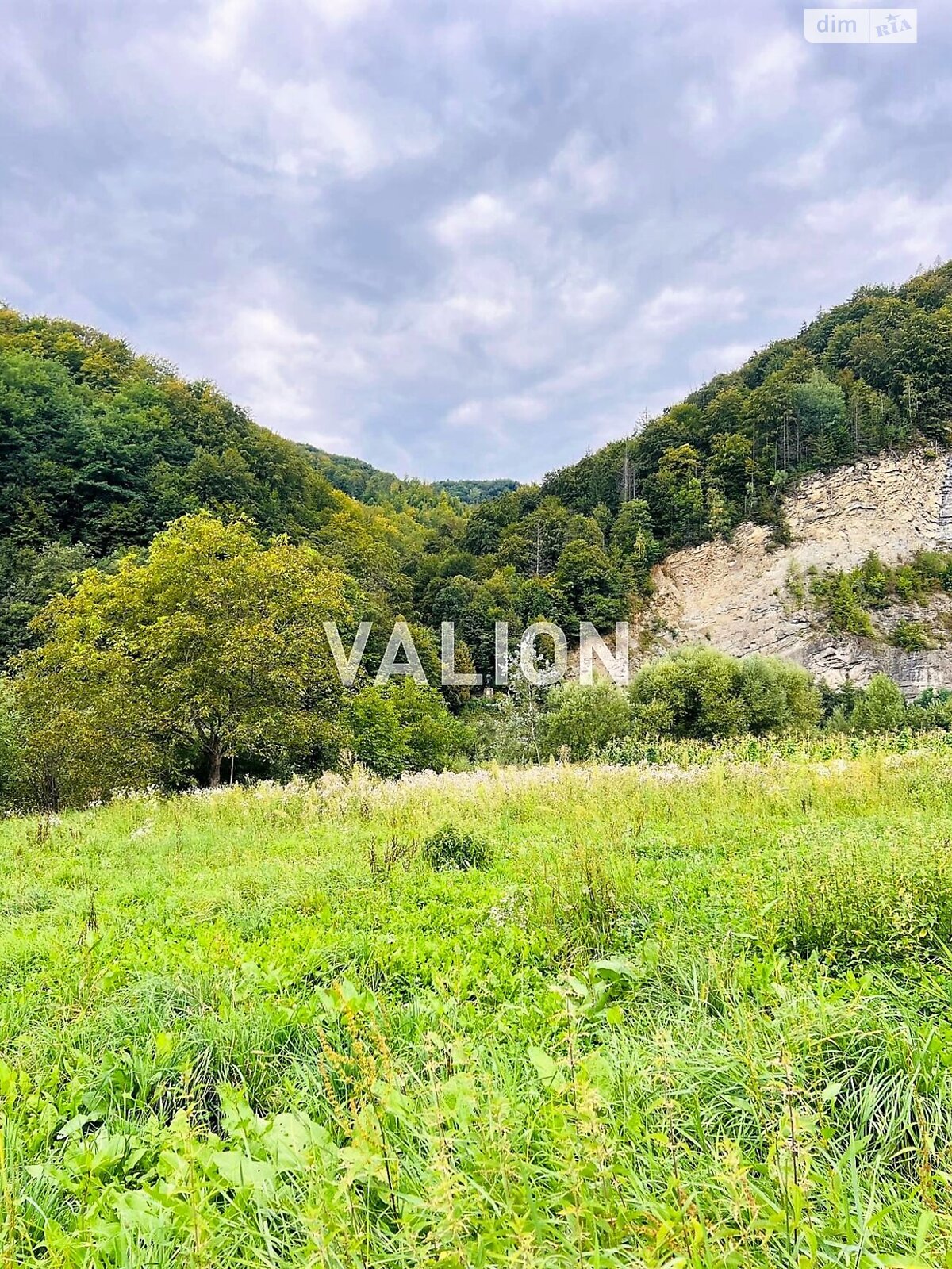 Земельна ділянка сільськогосподарського призначення в Міжброди, площа 20 соток фото 1 Земельна ділянка сільськогосподарського призначення в Міжброди, площа 20 соток фото 1