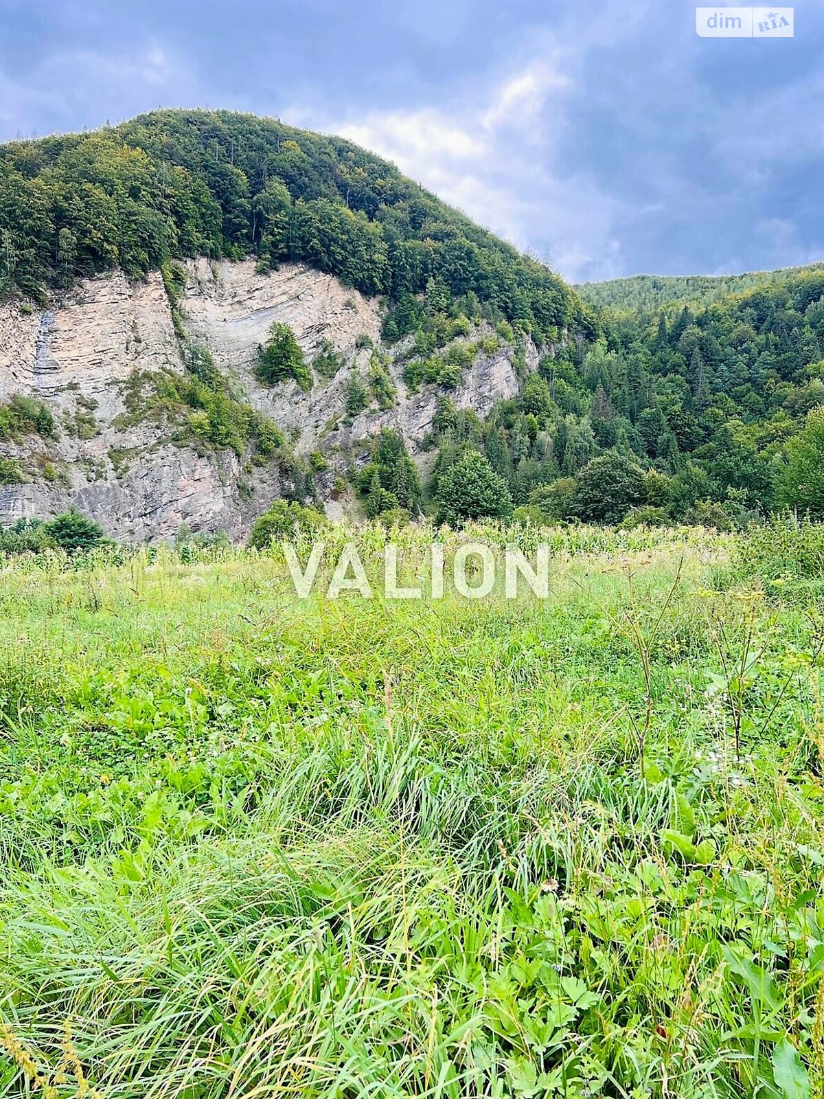 Земельна ділянка сільськогосподарського призначення в Міжброди, площа 20 соток фото 1 Земельна ділянка сільськогосподарського призначення в Міжброди, площа 20 соток фото 1