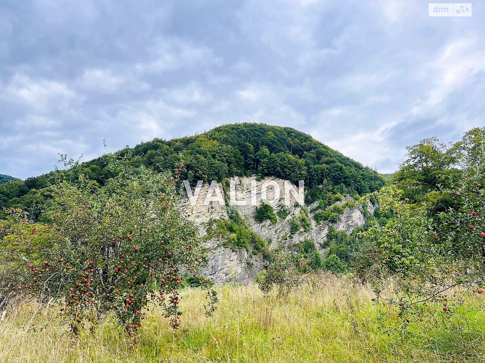 Земельна ділянка сільськогосподарського призначення в Міжброди, площа 20 соток фото 1 Земельна ділянка сільськогосподарського призначення в Міжброди, площа 20 соток фото 1