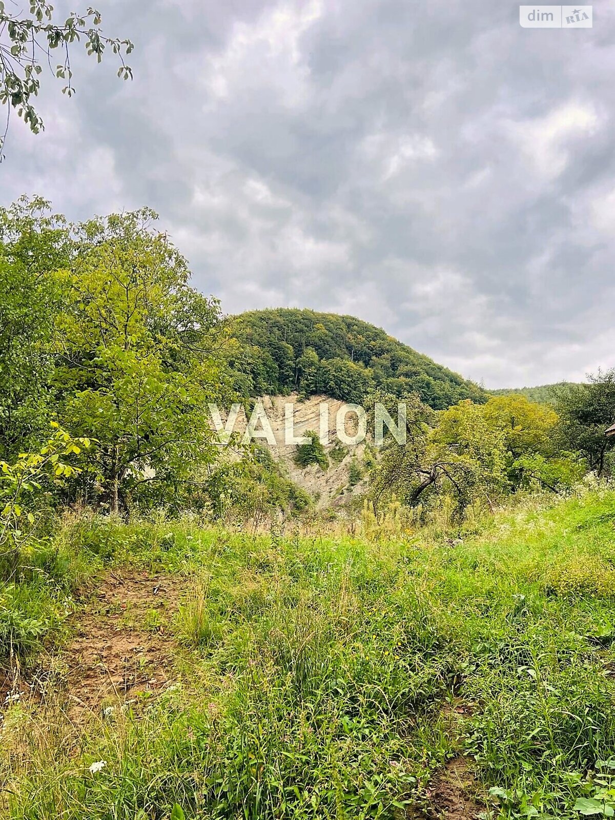 Земельна ділянка сільськогосподарського призначення в Міжброди, площа 20 соток фото 1 Земельна ділянка сільськогосподарського призначення в Міжброди, площа 20 соток фото 1