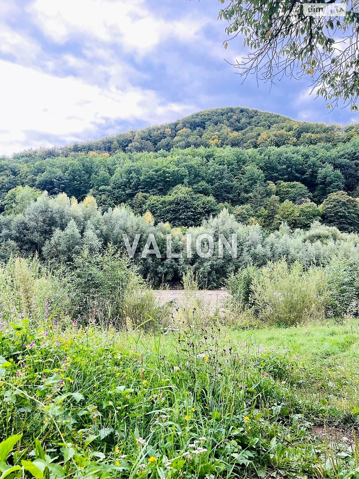 Земельна ділянка сільськогосподарського призначення в Міжброди, площа 20 соток фото 1 Земельна ділянка сільськогосподарського призначення в Міжброди, площа 20 соток фото 1