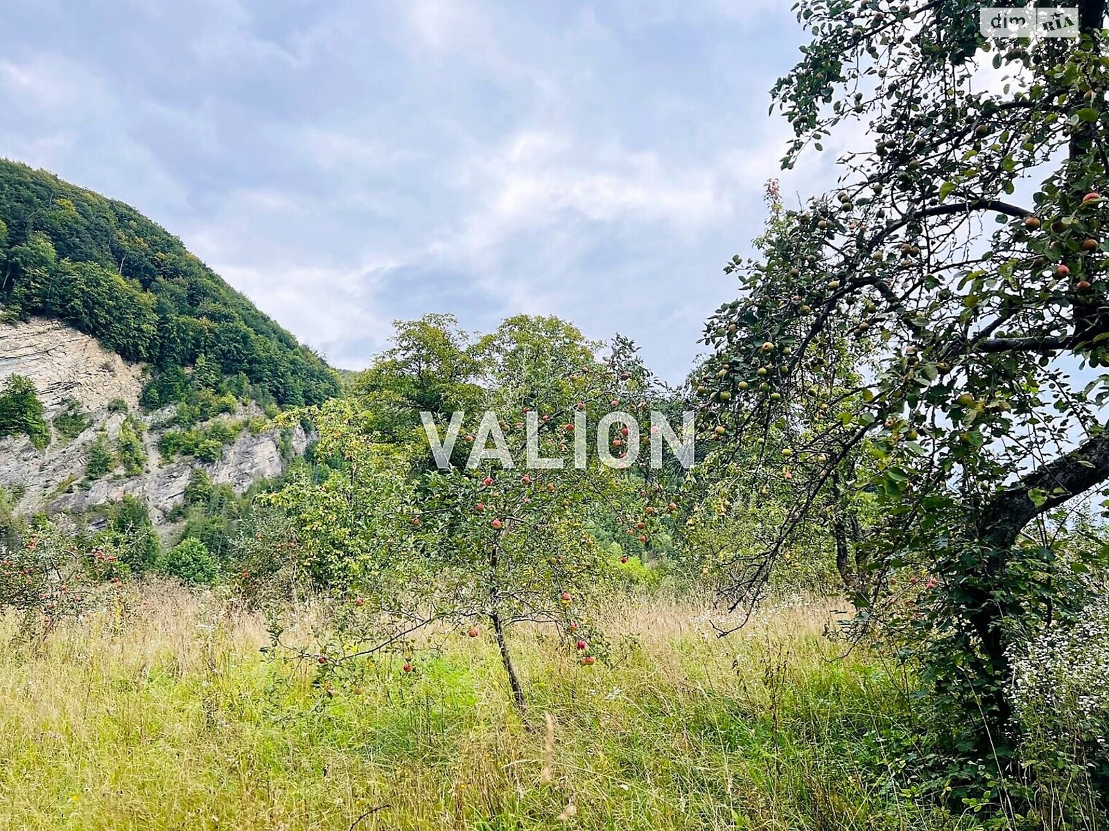 Земельна ділянка сільськогосподарського призначення в Міжброди, площа 20 соток фото 1 Земельна ділянка сільськогосподарського призначення в Міжброди, площа 20 соток фото 1