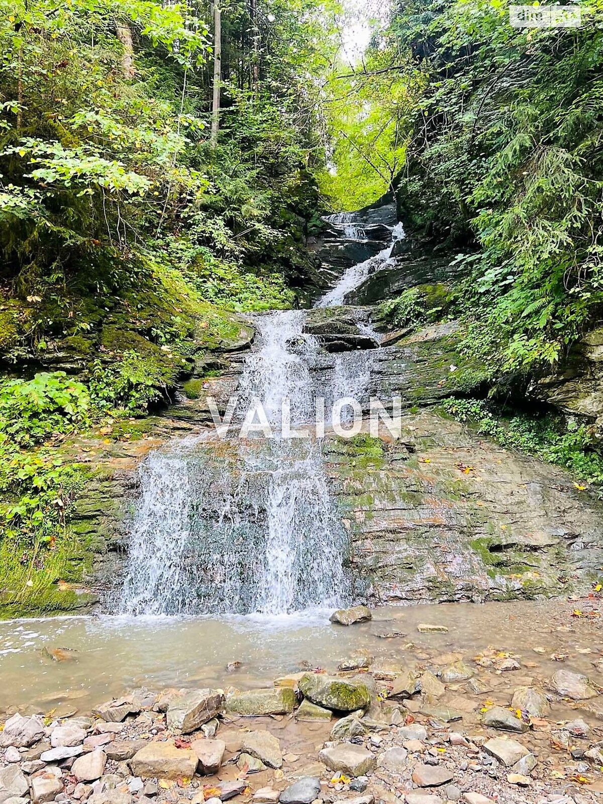 Земельна ділянка сільськогосподарського призначення в Міжброди, площа 20 соток фото 1 Земельна ділянка сільськогосподарського призначення в Міжброди, площа 20 соток фото 1
