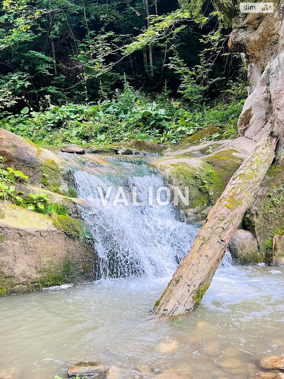 Земельна ділянка сільськогосподарського призначення в Міжброди, площа 20 соток фото 1 Земельна ділянка сільськогосподарського призначення в Міжброди, площа 20 соток фото 1