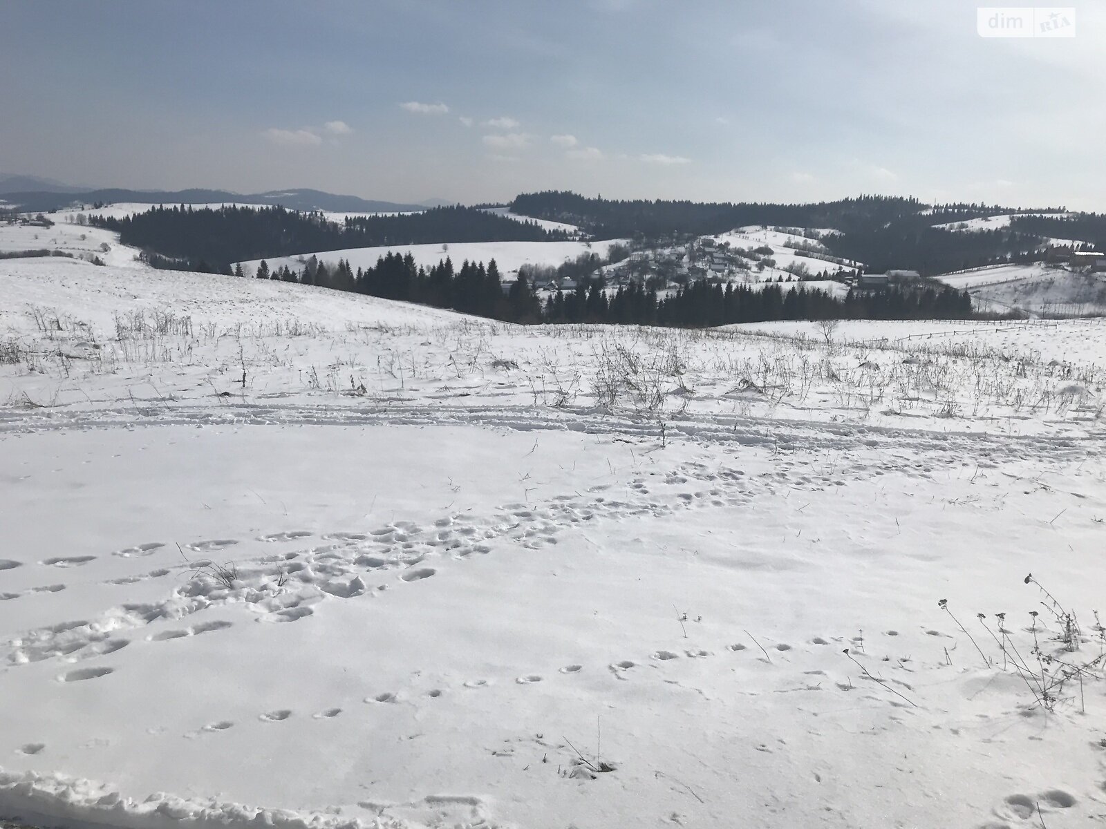 Земельна ділянка сільськогосподарського призначення в Мірошницькому, площа 1 Га фото 1