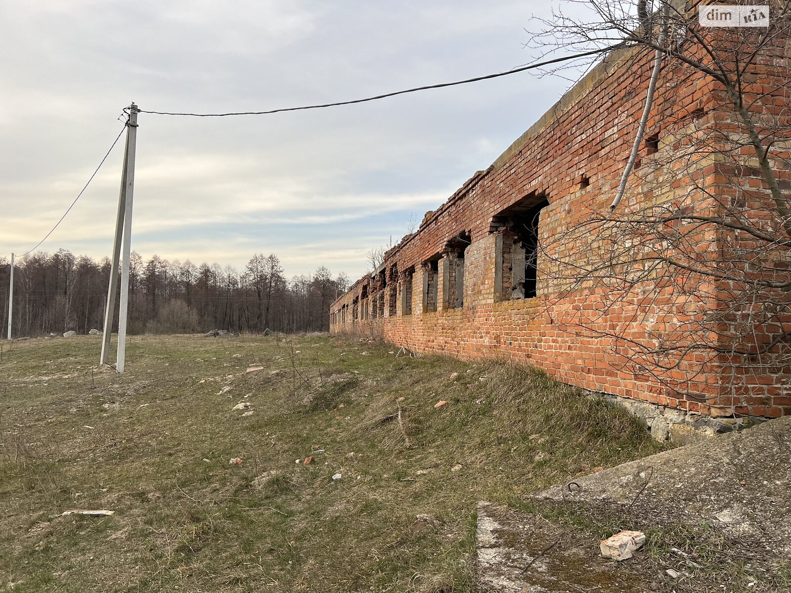 Земельный участок сельскохозяйственного назначения в Михайловке, площадь 6 Га фото 1