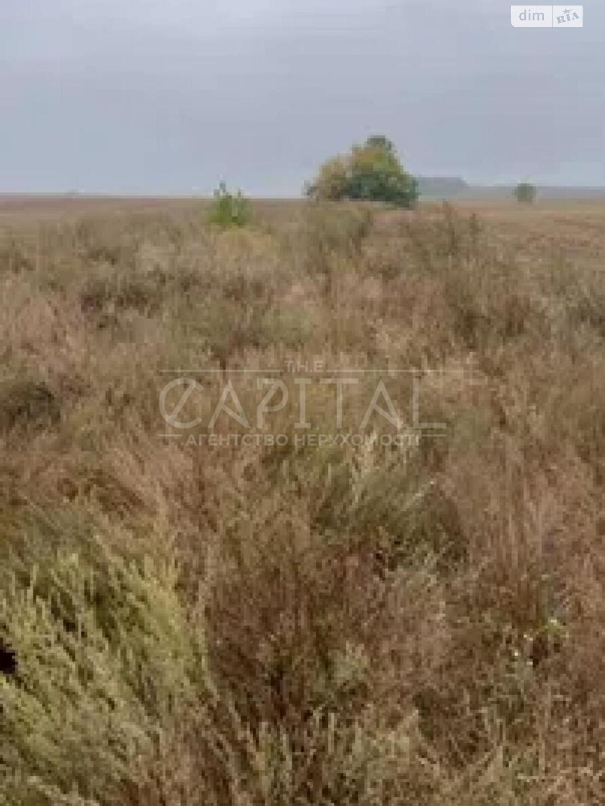 Земельный участок сельскохозяйственного назначения в Михайловке-Рубежовке, площадь 10 соток фото 1