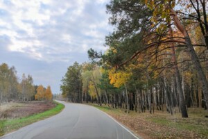 Земельна ділянка сільськогосподарського призначення в Михайлівці-Рубежівці, площа 10 соток фото 2