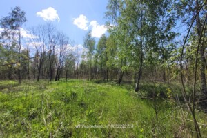 Земельный участок сельскохозяйственного назначения в Михайловке-Рубежовке, площадь 34 сотки фото 2