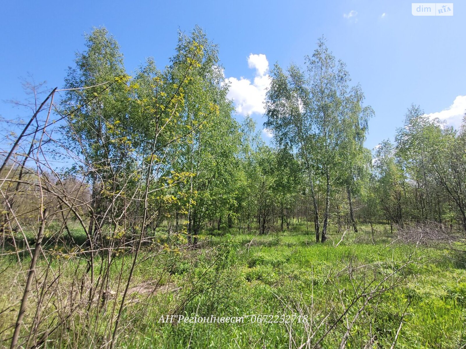 Земельный участок сельскохозяйственного назначения в Михайловке-Рубежовке, площадь 34 сотки фото 1