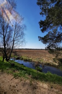 Земельна ділянка сільськогосподарського призначення в Михайлівці-Рубежівці, площа 9.17 сотки фото 2