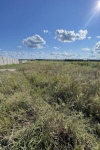 Земельна ділянка сільськогосподарського призначення в Михайлівці-Рубежівці, площа 201 сотка фото 2