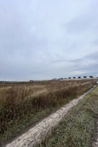Земельный участок сельскохозяйственного назначения в Михайловке-Рубежовке, площадь 12 соток фото 2
