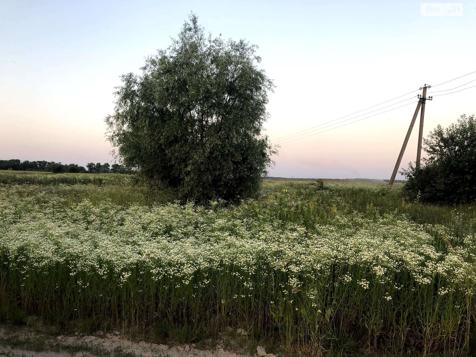 Земельна ділянка сільськогосподарського призначення в Михайлівці-Рубежівці, площа 40 соток фото 1