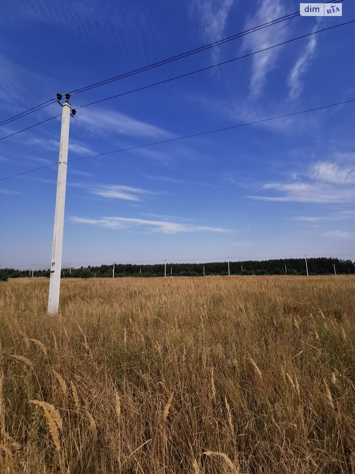 Земельна ділянка сільськогосподарського призначення в Михайлівці-Рубежівці, площа 9.88 сотки фото 1