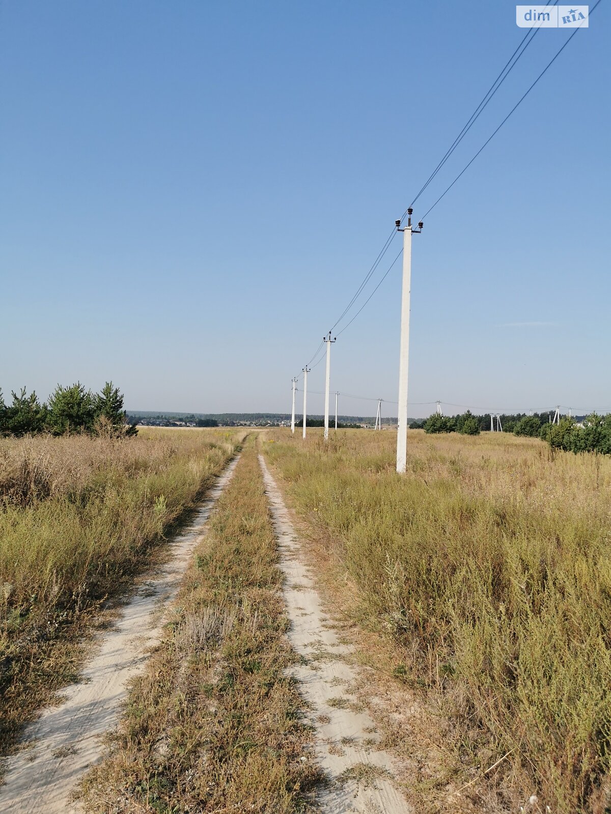 Земельна ділянка сільськогосподарського призначення в Михайлівці-Рубежівці, площа 9.88 сотки фото 1 Земельна ділянка сільськогосподарського призначення в Михайлівці-Рубежівці, площа 9.88 сотки фото 1
