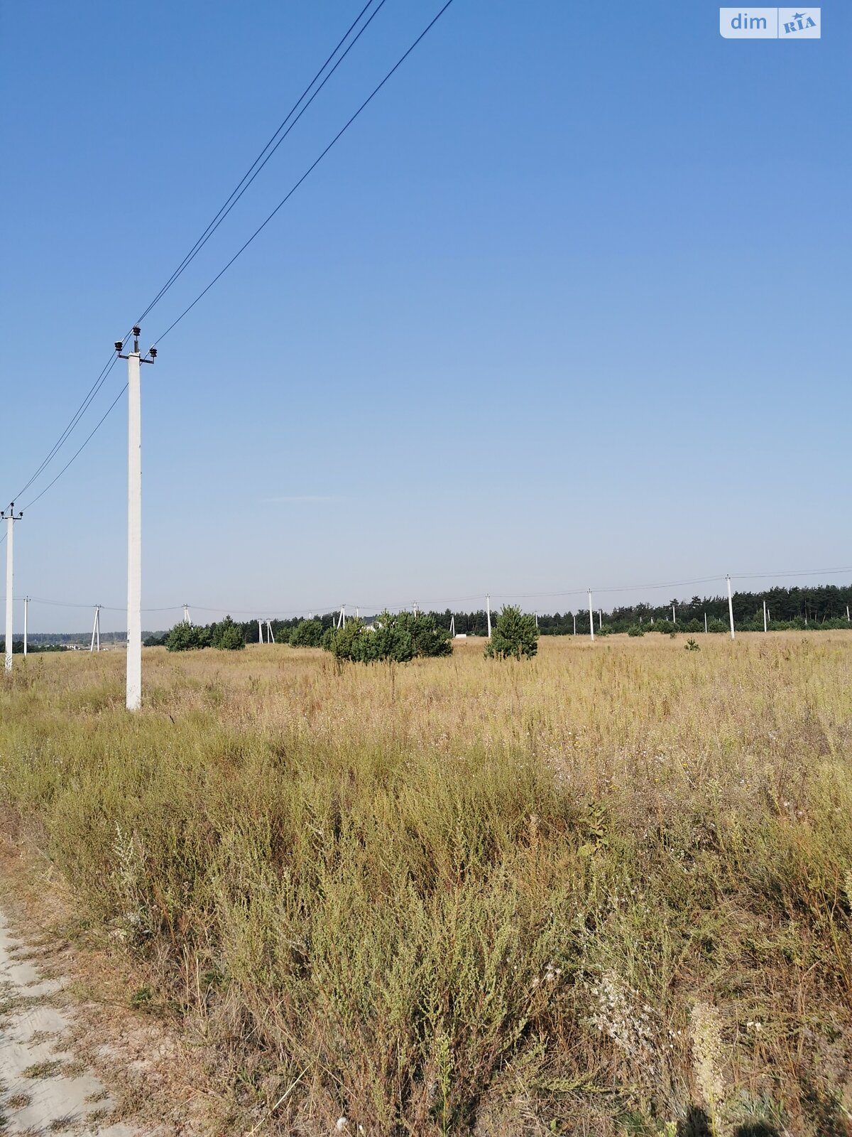 Земельна ділянка сільськогосподарського призначення в Михайлівці-Рубежівці, площа 9.88 сотки фото 1 Земельна ділянка сільськогосподарського призначення в Михайлівці-Рубежівці, площа 9.88 сотки фото 1