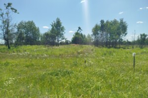 Земельный участок сельскохозяйственного назначения в Михайловке-Рубежовке, площадь 57.64 сотки фото 2