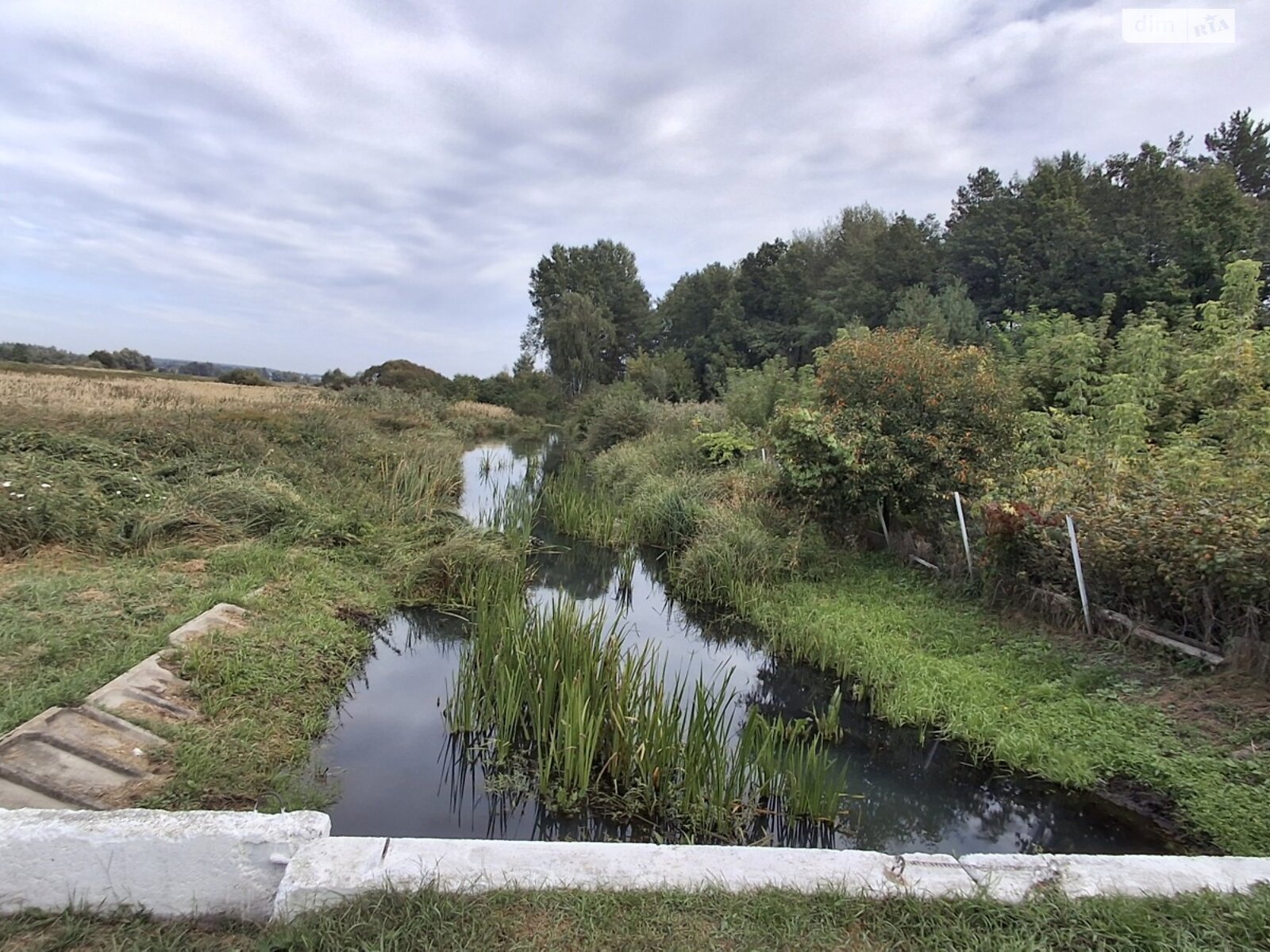Земельный участок сельскохозяйственного назначения в Михайловке-Рубежовке, площадь 9.19 сотки фото 1