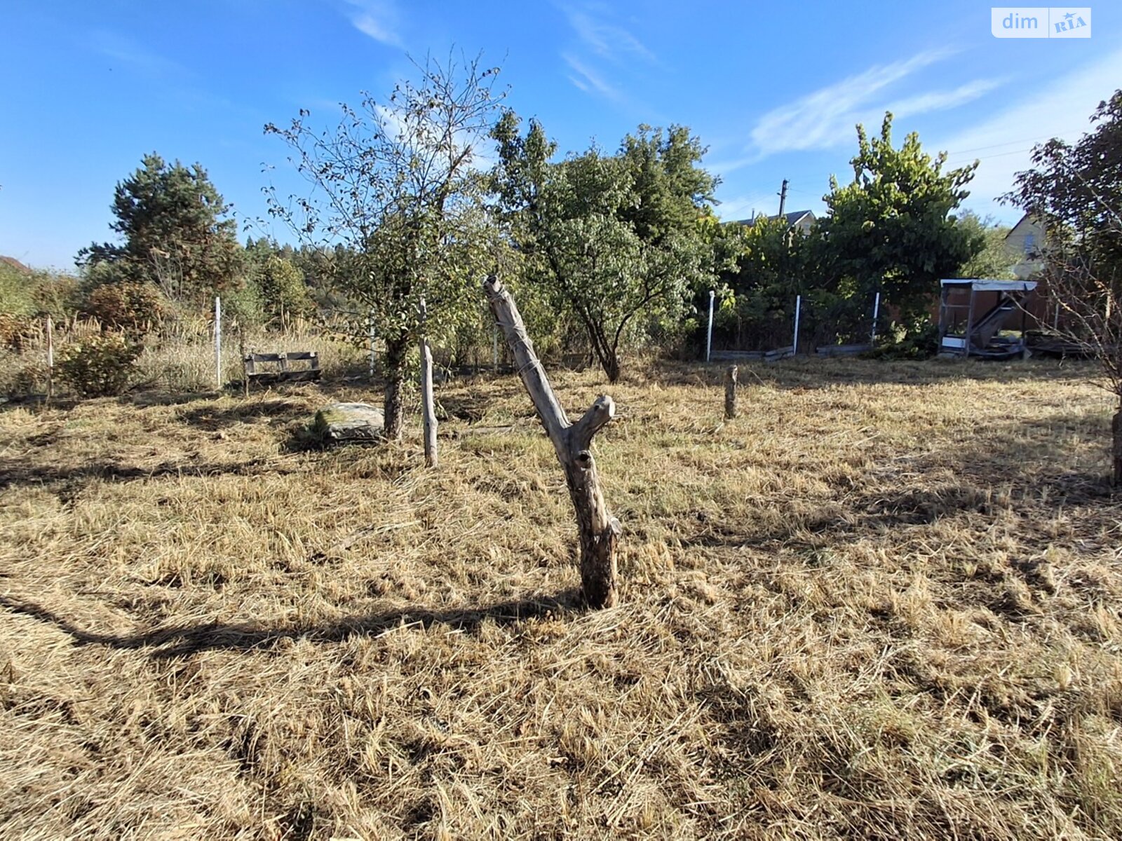 Земельный участок сельскохозяйственного назначения в Михайловке-Рубежовке, площадь 9.19 сотки фото 1