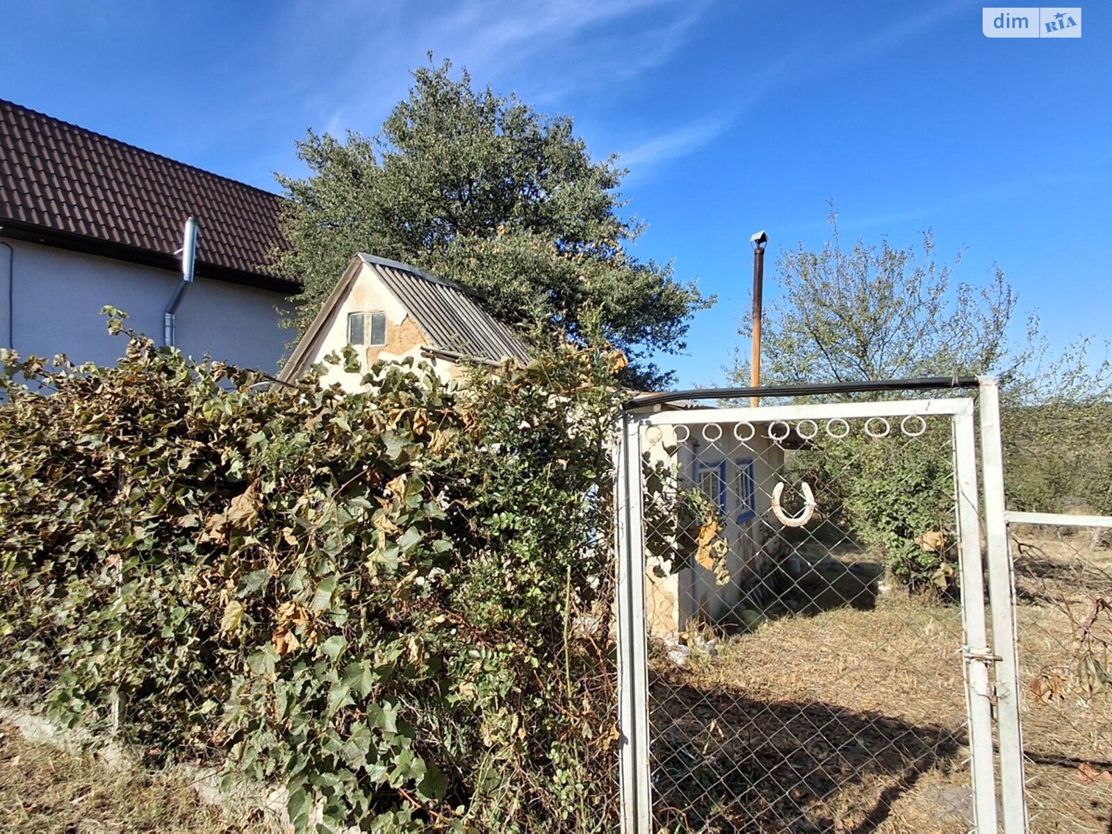 Земельный участок сельскохозяйственного назначения в Михайловке-Рубежовке, площадь 9.19 сотки фото 1