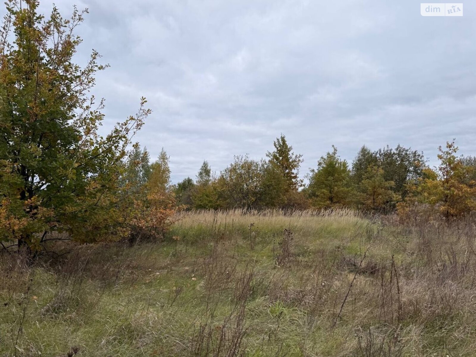 Земельный участок сельскохозяйственного назначения в Михайловке-Рубежовке, площадь 1.0616 Га фото 1