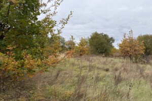 Земельный участок сельскохозяйственного назначения в Михайловке-Рубежовке, площадь 1.0616 Га фото 2