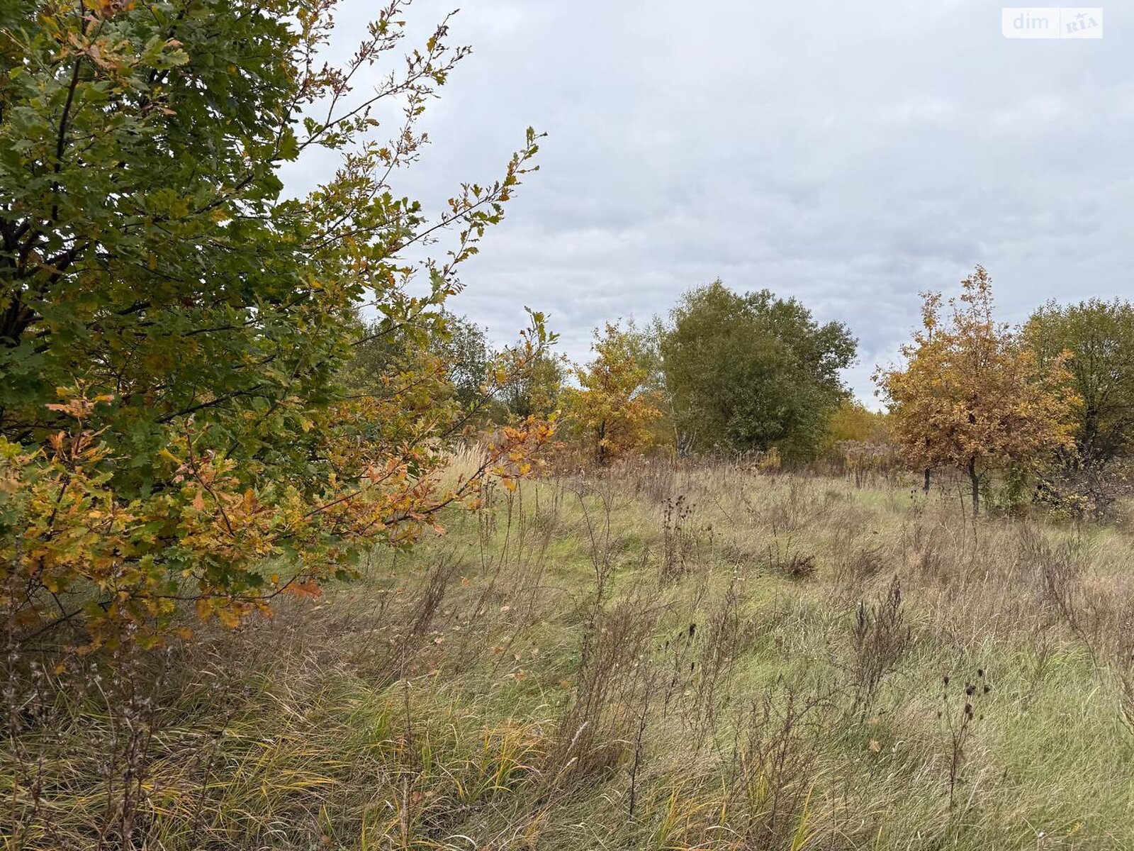 Земельный участок сельскохозяйственного назначения в Михайловке-Рубежовке, площадь 1.0616 Га фото 1