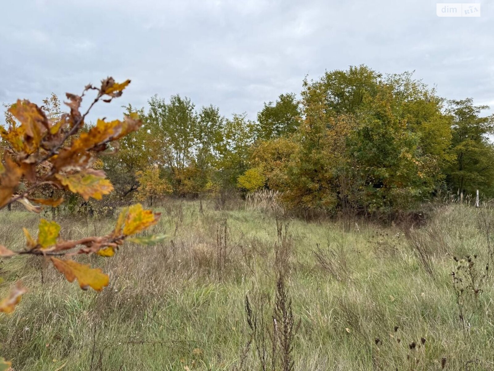 Земельный участок сельскохозяйственного назначения в Михайловке-Рубежовке, площадь 1.0616 Га фото 1