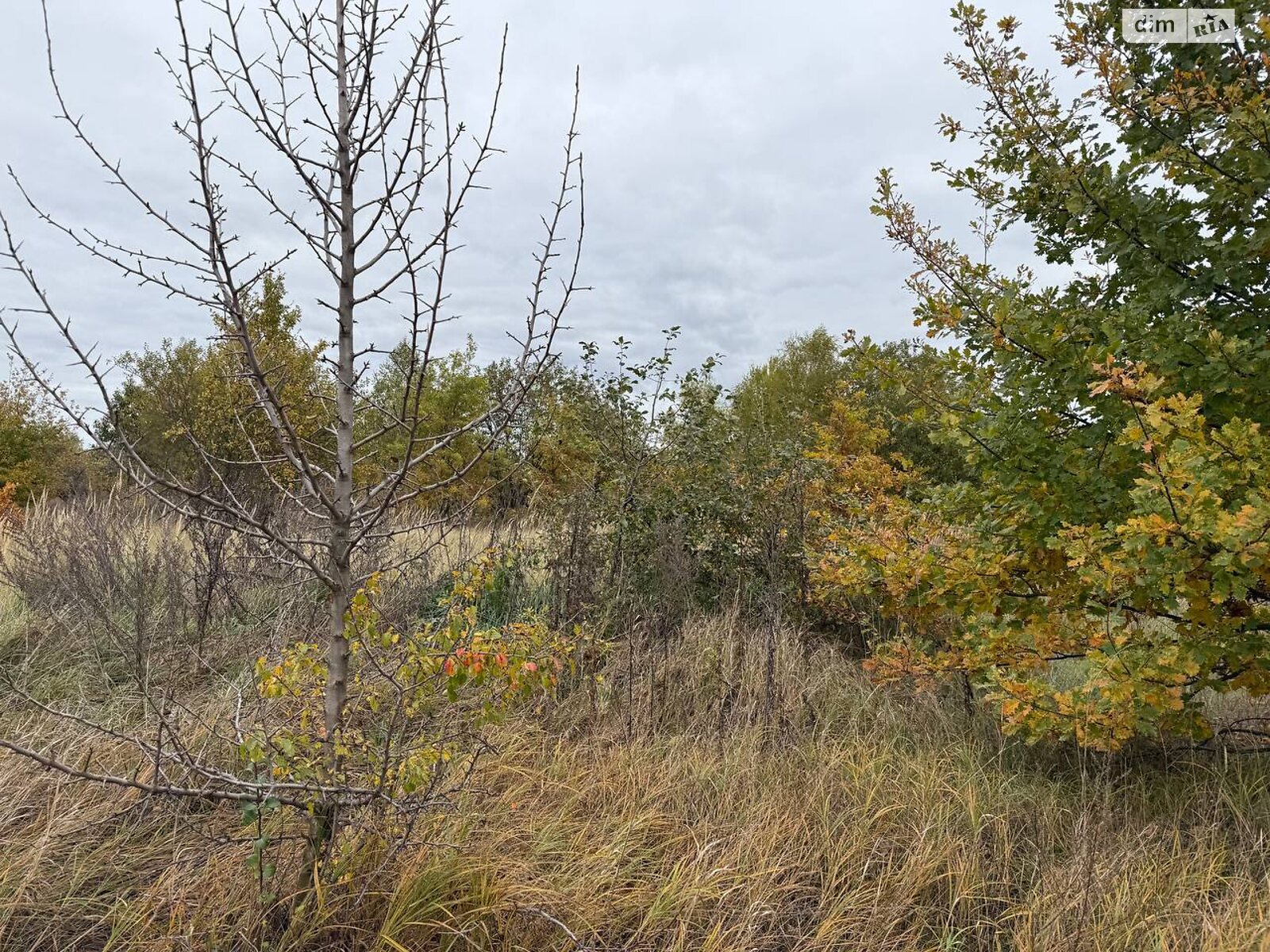 Земельный участок сельскохозяйственного назначения в Михайловке-Рубежовке, площадь 1.0616 Га фото 1