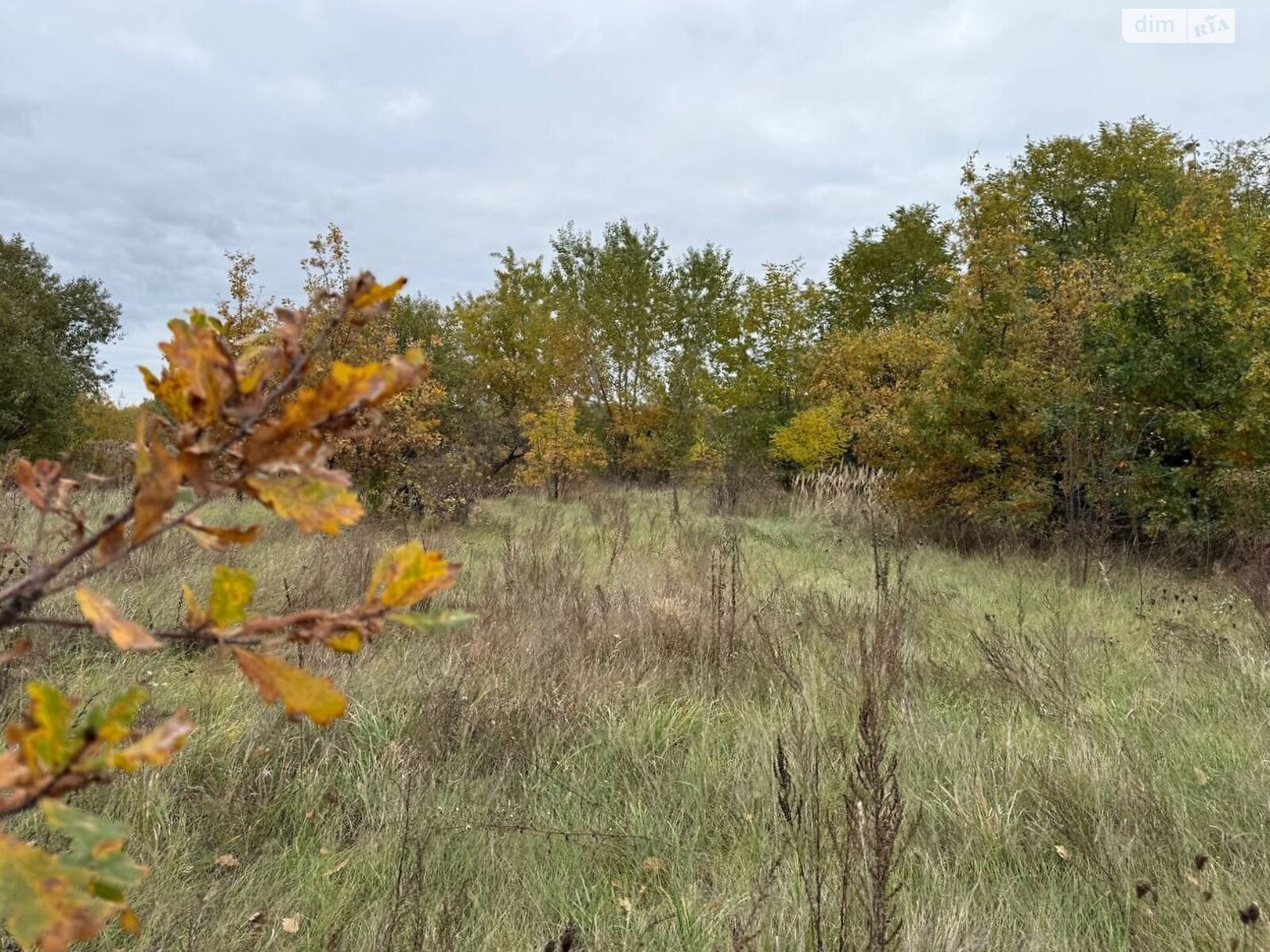 Земельный участок сельскохозяйственного назначения в Михайловке-Рубежовке, площадь 1.0616 Га фото 1