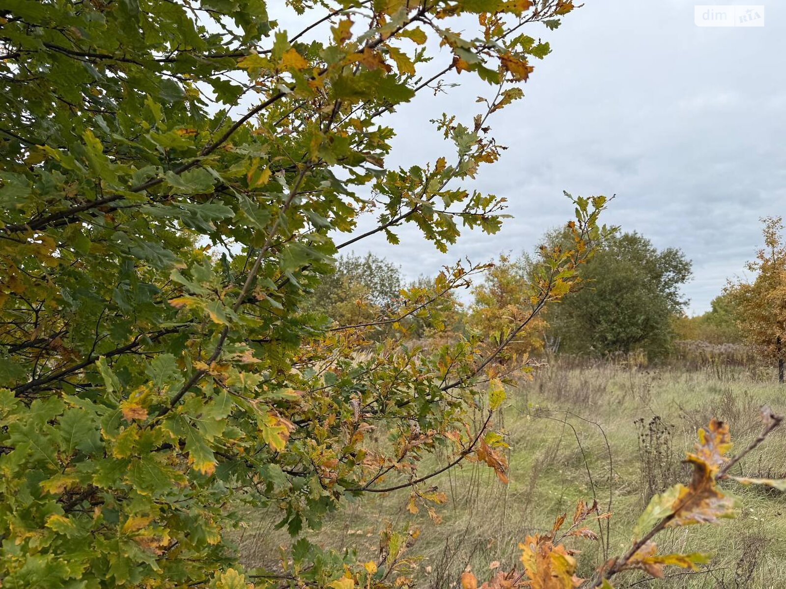 Земельный участок сельскохозяйственного назначения в Михайловке-Рубежовке, площадь 1.0616 Га фото 1