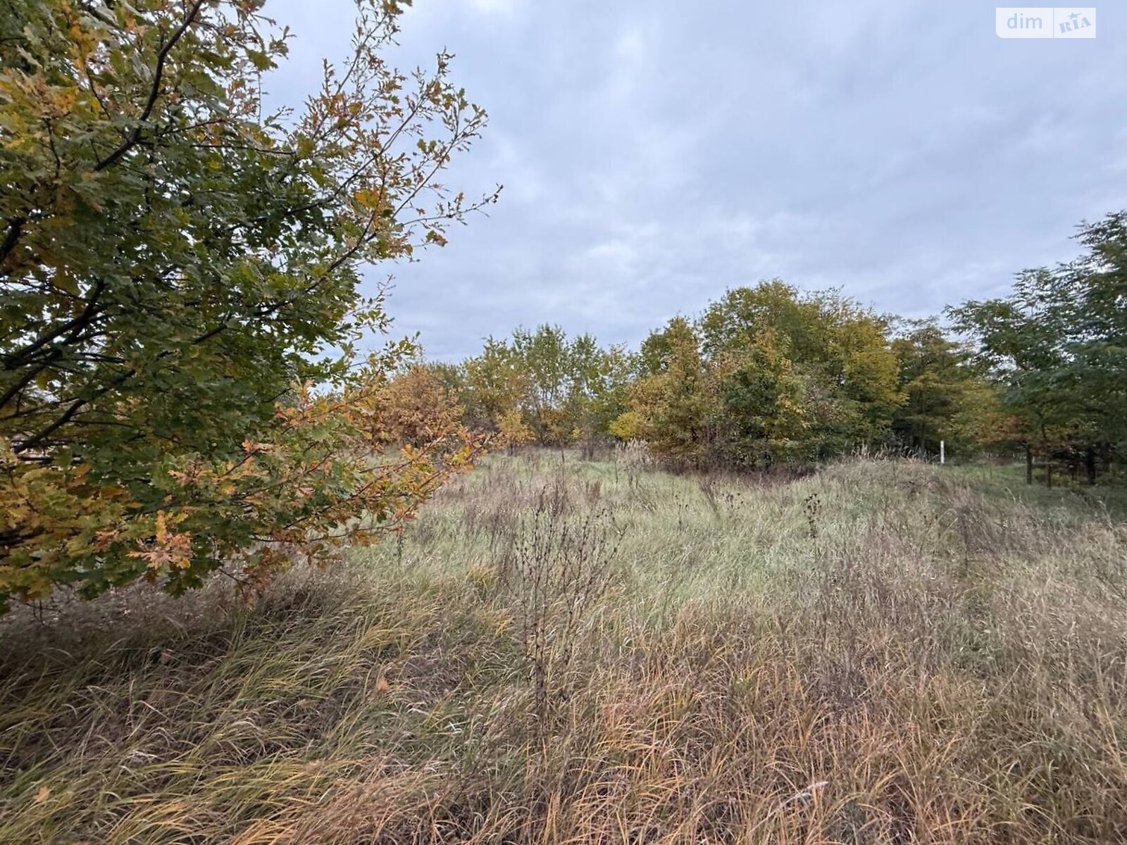 Земельный участок сельскохозяйственного назначения в Михайловке-Рубежовке, площадь 1.0616 Га фото 1