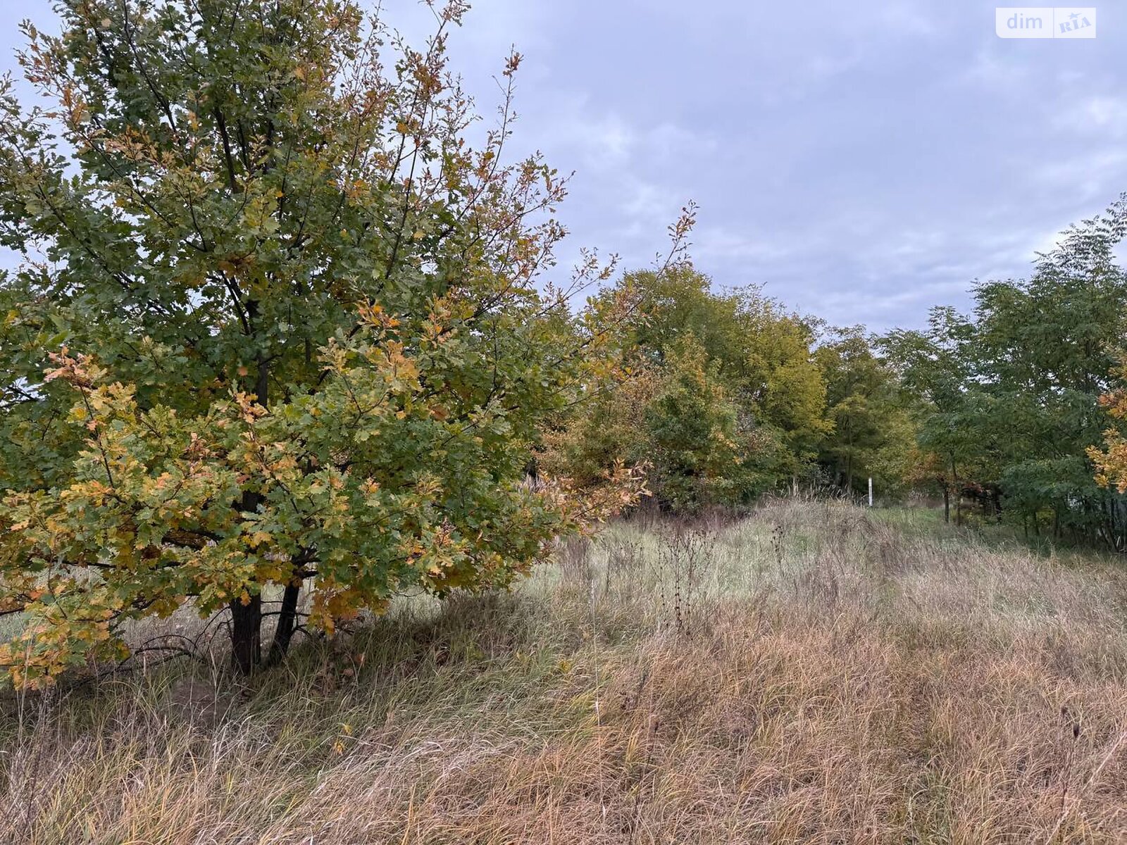 Земельный участок сельскохозяйственного назначения в Михайловке-Рубежовке, площадь 1.0616 Га фото 1
