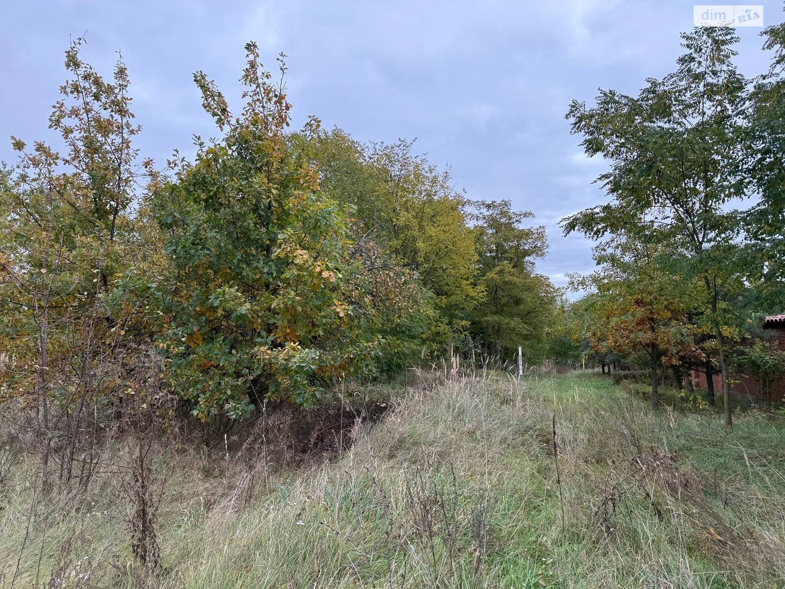 Земельный участок сельскохозяйственного назначения в Михайловке-Рубежовке, площадь 1.0616 Га фото 1