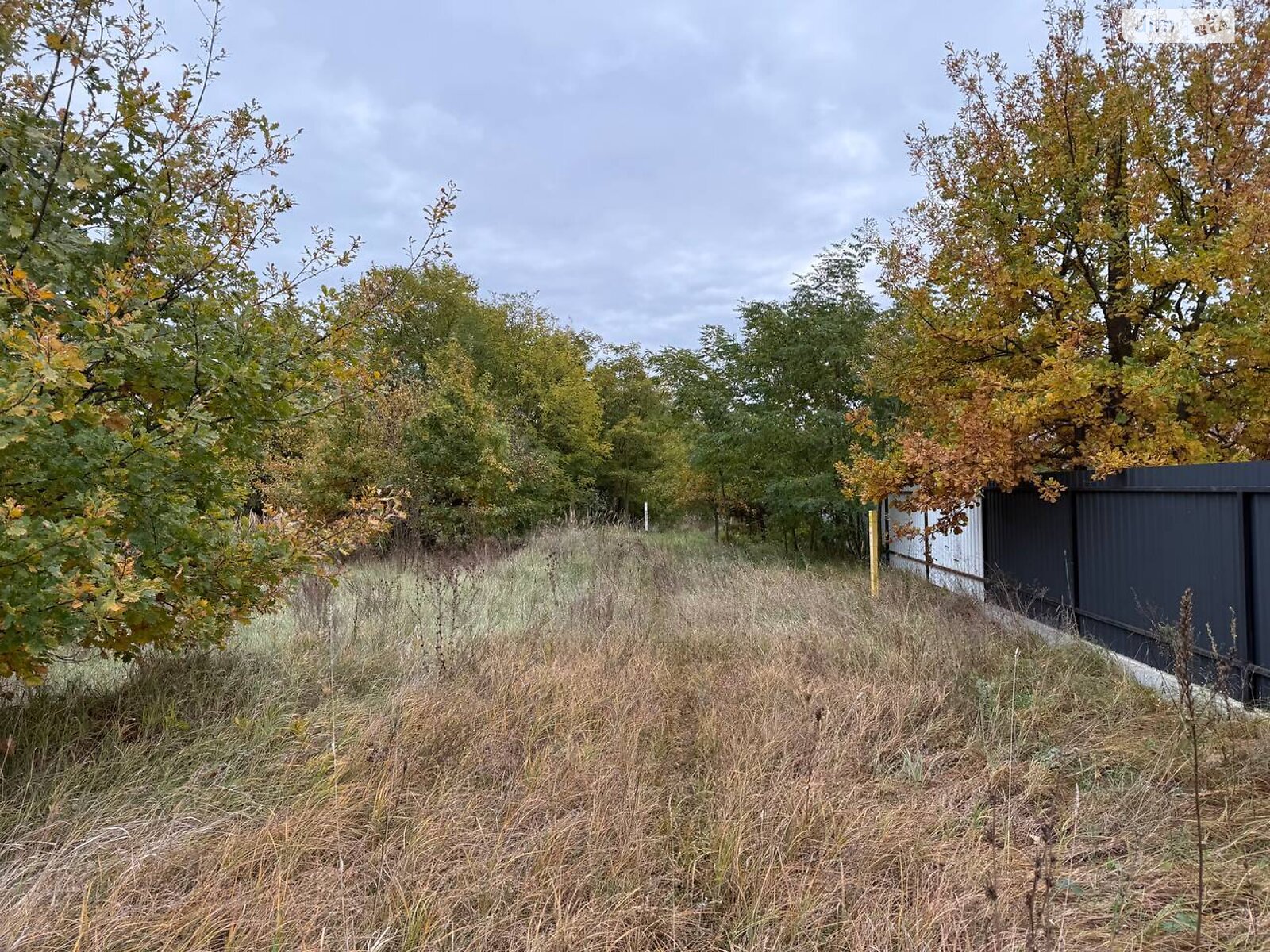 Земельный участок сельскохозяйственного назначения в Михайловке-Рубежовке, площадь 1.0616 Га фото 1