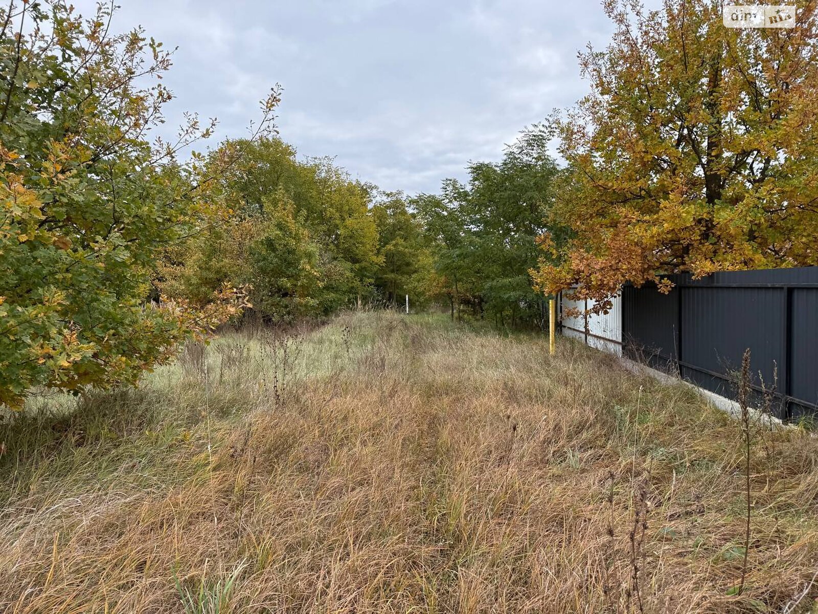 Земельный участок сельскохозяйственного назначения в Михайловке-Рубежовке, площадь 1.0616 Га фото 1