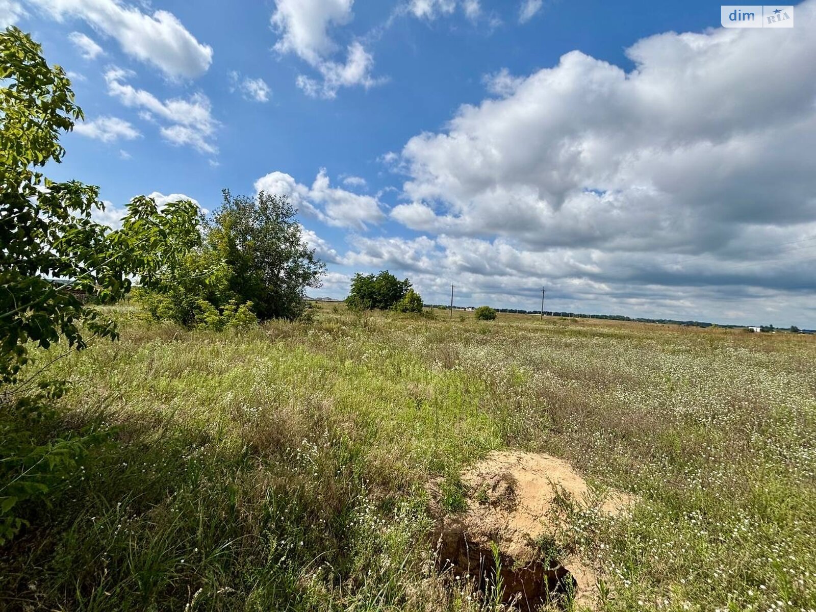 Земельный участок сельскохозяйственного назначения в Михайловке-Рубежовке, площадь 15 соток фото 1 Земельный участок сельскохозяйственного назначения в Михайловке-Рубежовке, площадь 15 соток фото 1