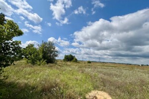 Земельный участок сельскохозяйственного назначения в Михайловке-Рубежовке, площадь 15 соток фото 2 Земельный участок сельскохозяйственного назначения в Михайловке-Рубежовке, площадь 15 соток фото 2