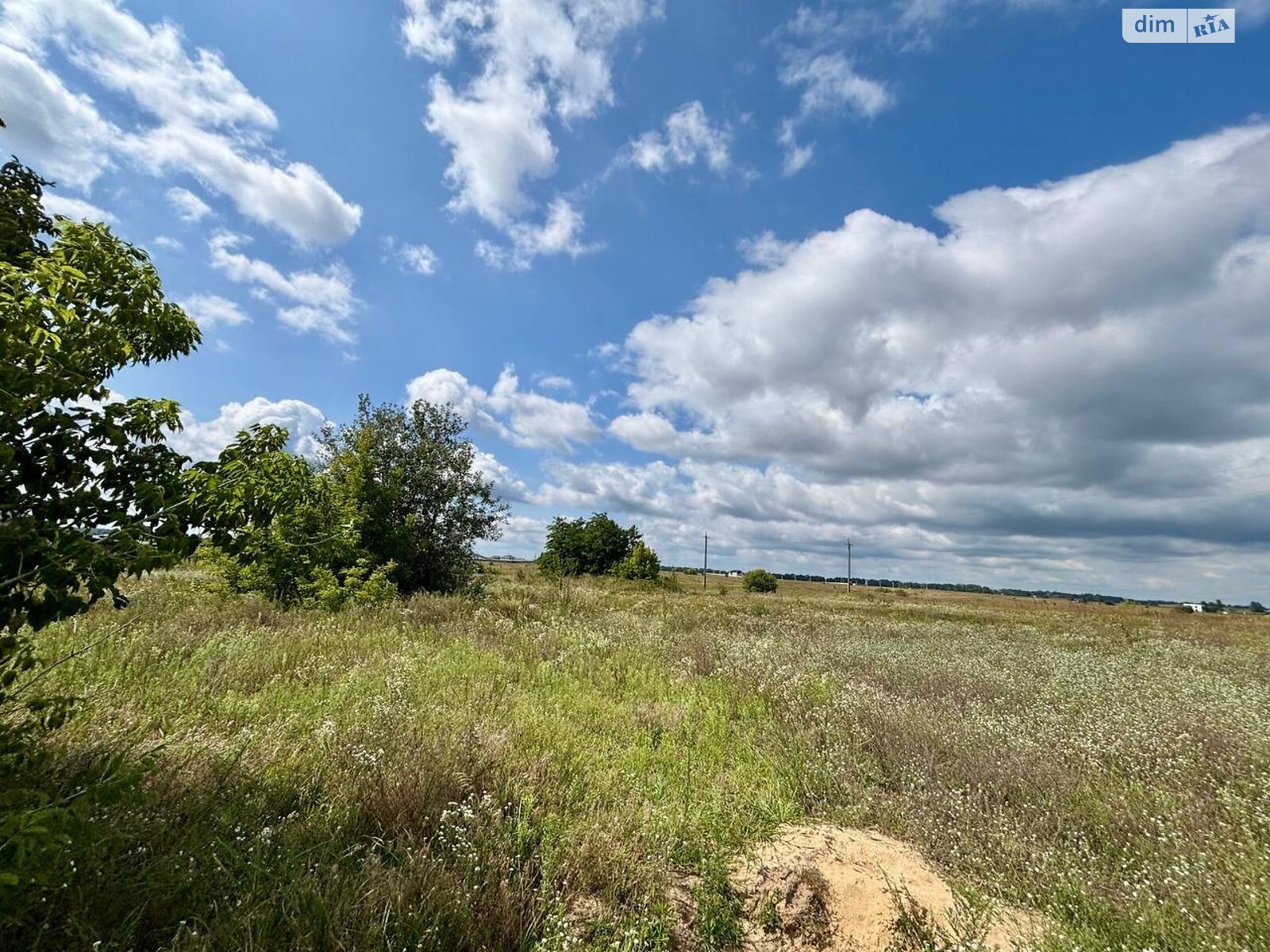 Земельный участок сельскохозяйственного назначения в Михайловке-Рубежовке, площадь 15 соток фото 1 Земельный участок сельскохозяйственного назначения в Михайловке-Рубежовке, площадь 15 соток фото 1