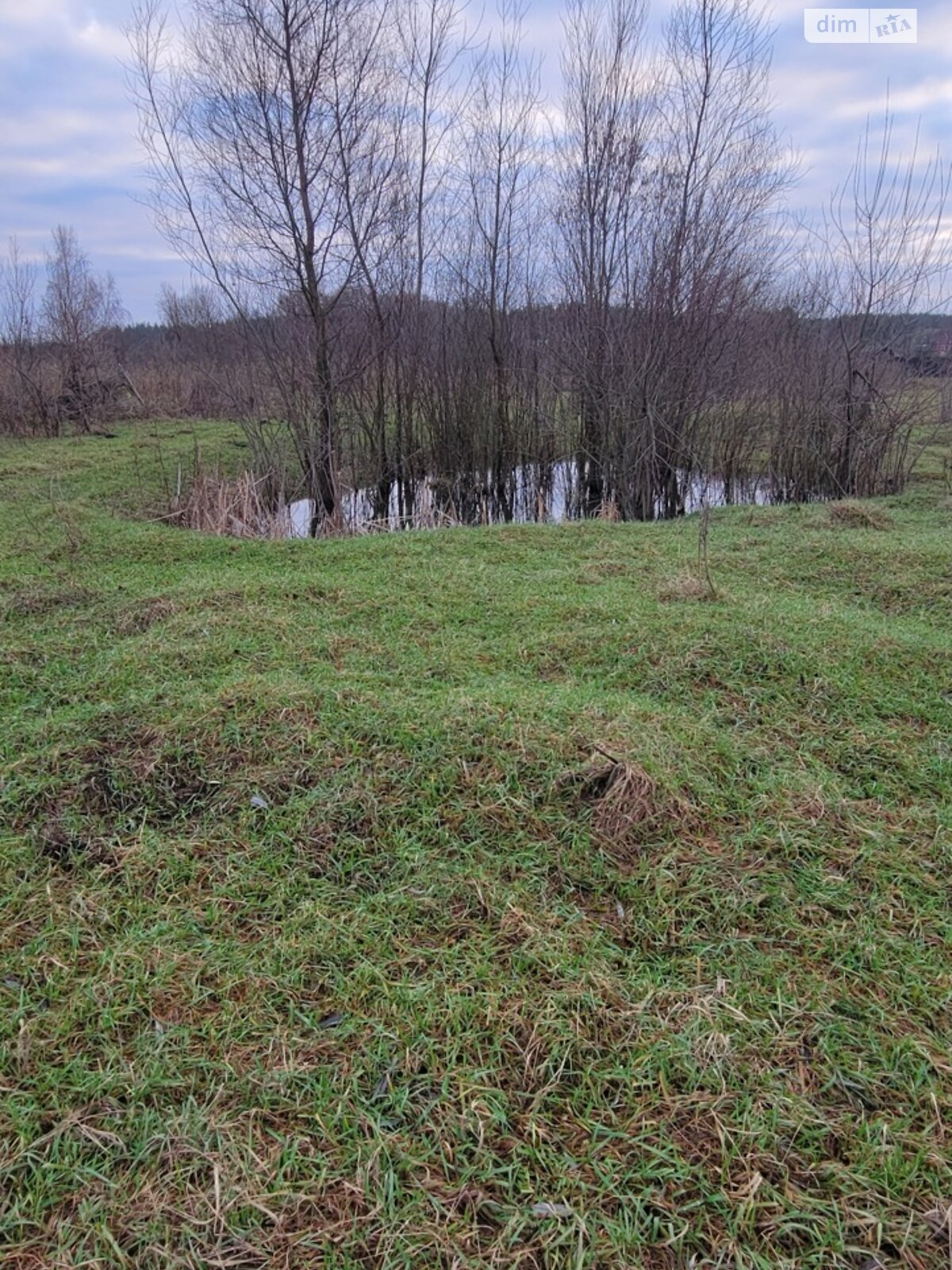 Земельный участок сельскохозяйственного назначения в Михайловке-Рубежовке, площадь 24 сотки фото 1 Земельный участок сельскохозяйственного назначения в Михайловке-Рубежовке, площадь 24 сотки фото 1