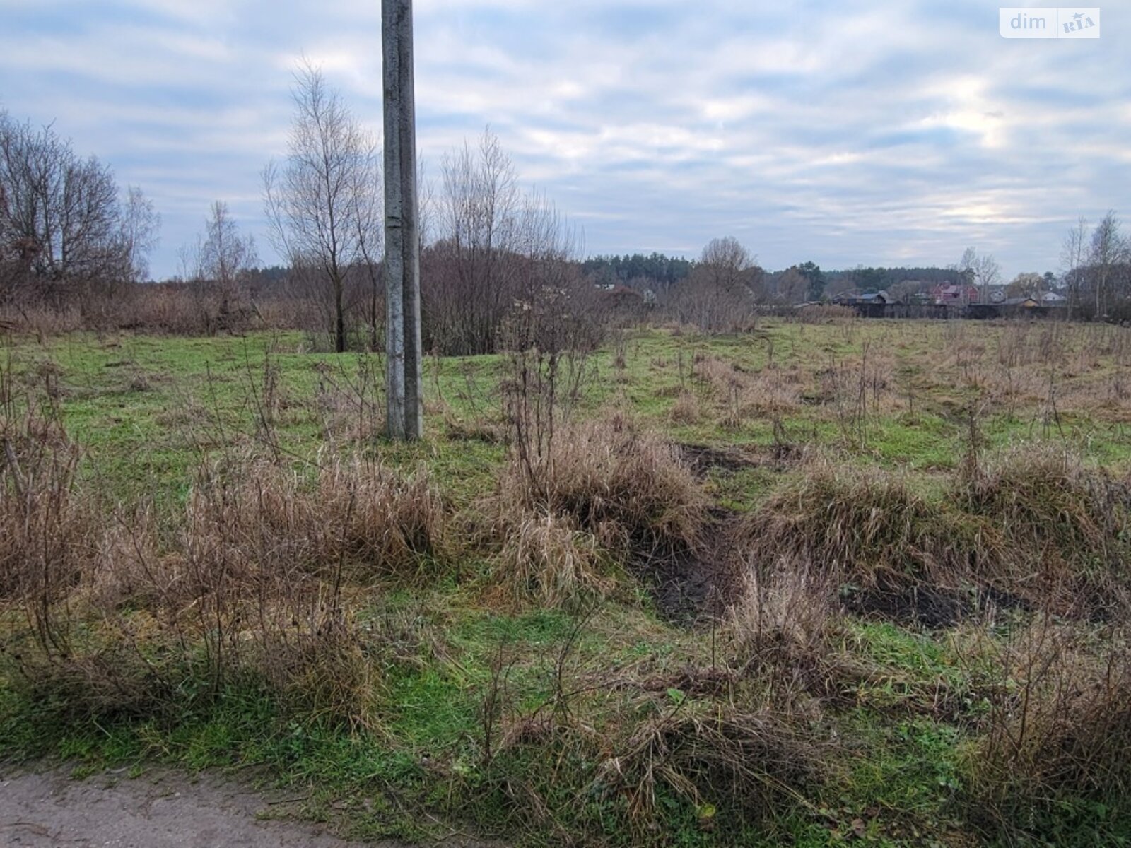 Земельный участок сельскохозяйственного назначения в Михайловке-Рубежовке, площадь 24 сотки фото 1 Земельный участок сельскохозяйственного назначения в Михайловке-Рубежовке, площадь 24 сотки фото 1