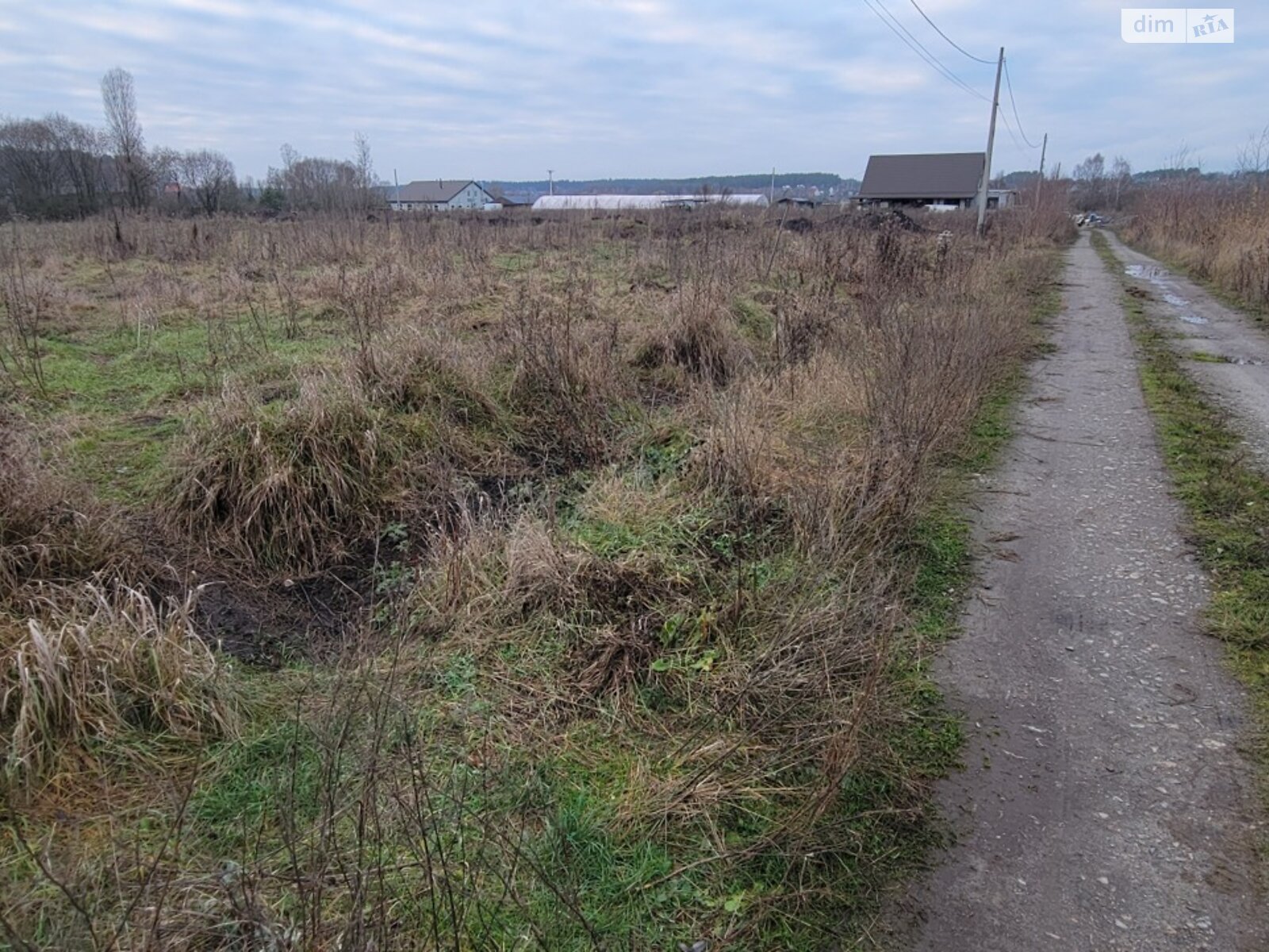 Земельный участок сельскохозяйственного назначения в Михайловке-Рубежовке, площадь 24 сотки фото 1 Земельный участок сельскохозяйственного назначения в Михайловке-Рубежовке, площадь 24 сотки фото 1