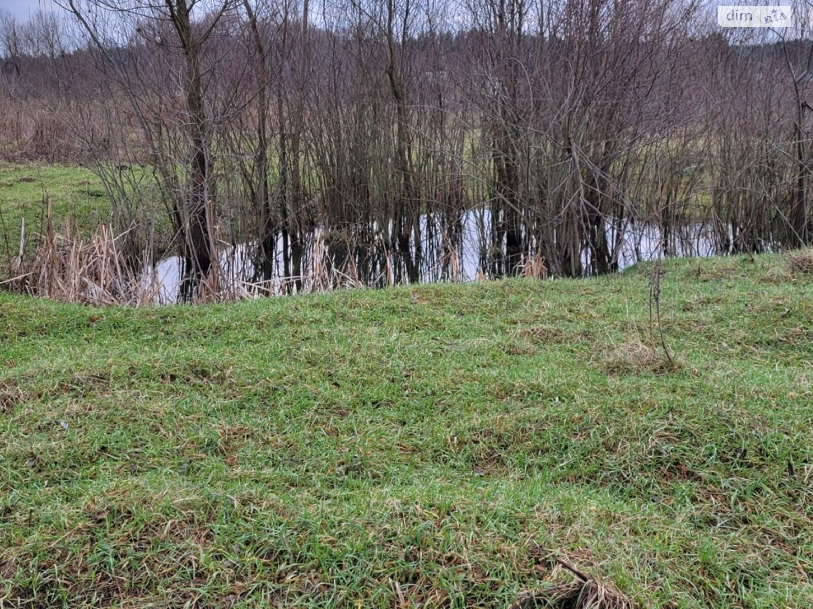 Земельный участок сельскохозяйственного назначения в Михайловке-Рубежовке, площадь 24 сотки фото 1 Земельный участок сельскохозяйственного назначения в Михайловке-Рубежовке, площадь 24 сотки фото 1