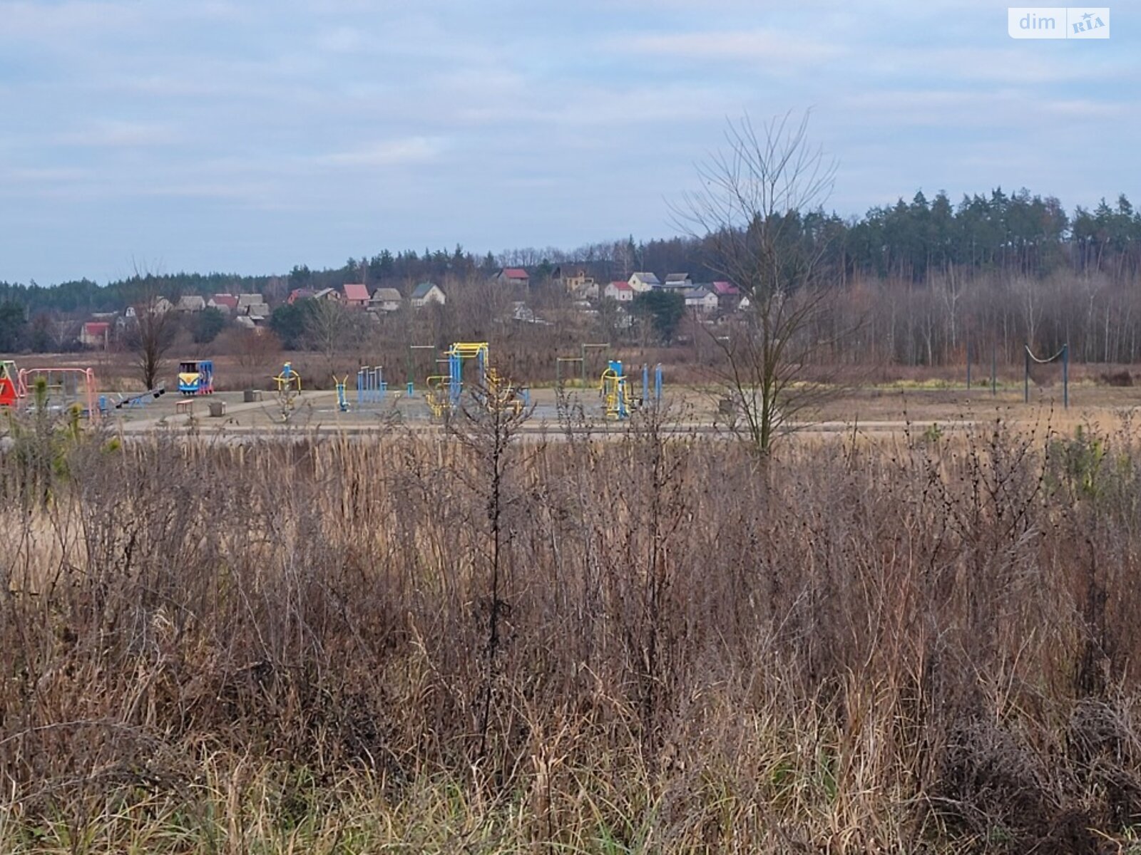 Земельный участок сельскохозяйственного назначения в Михайловке-Рубежовке, площадь 24 сотки фото 1 Земельный участок сельскохозяйственного назначения в Михайловке-Рубежовке, площадь 24 сотки фото 1