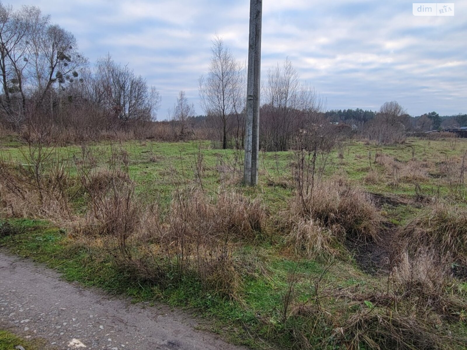 Земельный участок сельскохозяйственного назначения в Михайловке-Рубежовке, площадь 24 сотки фото 1 Земельный участок сельскохозяйственного назначения в Михайловке-Рубежовке, площадь 24 сотки фото 1